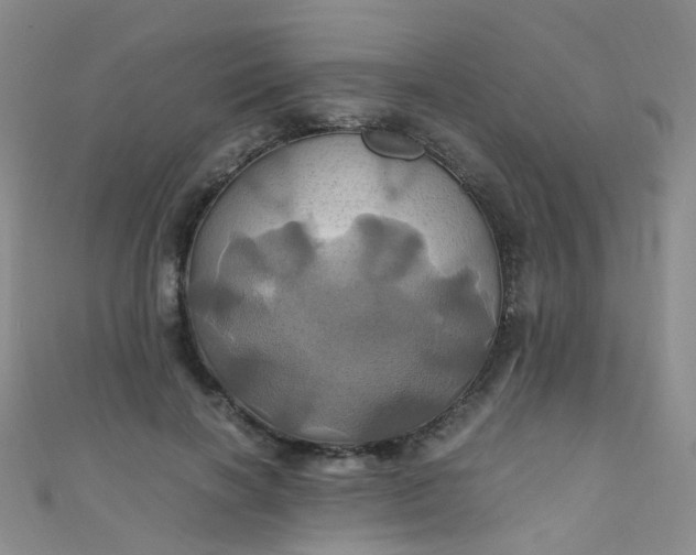 X0000110990646200907022117
