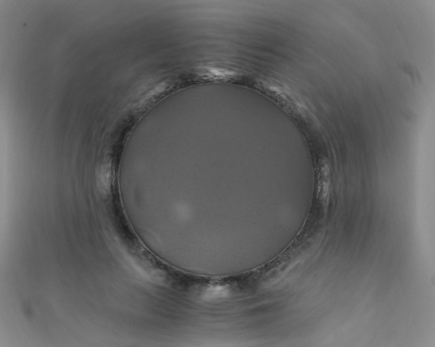 X0000110990647200907022117