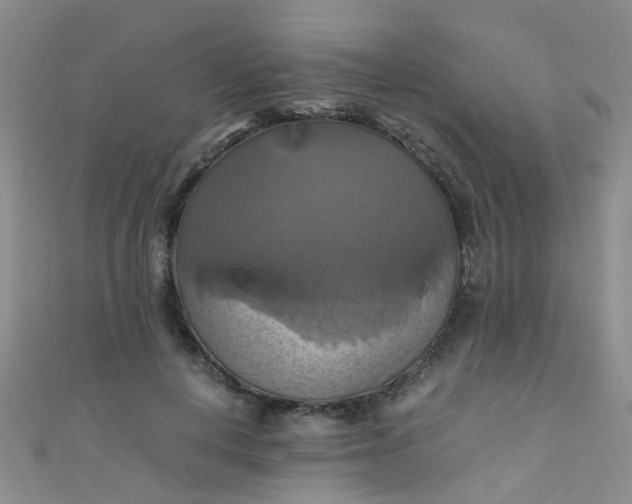 X0000110990648200907022117