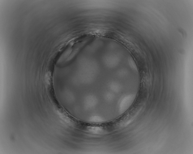 X0000110990649200907022117