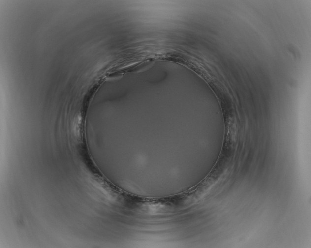 X0000110990650200907022117