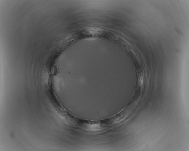 X0000110990651200907022117