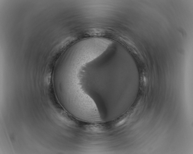 X0000110990652200907022117