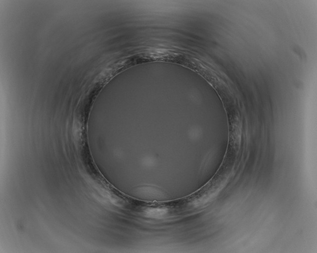 X0000110990653200907022117