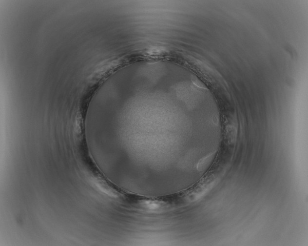 X0000110990654200907022117