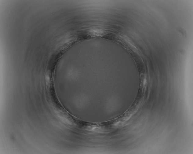 X0000110990655200907022117