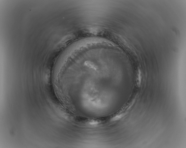 X0000110990656200907022117
