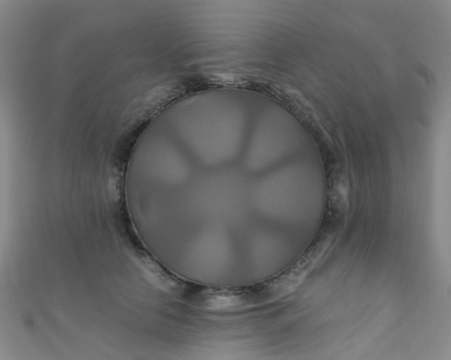 X0000110990658200907022117