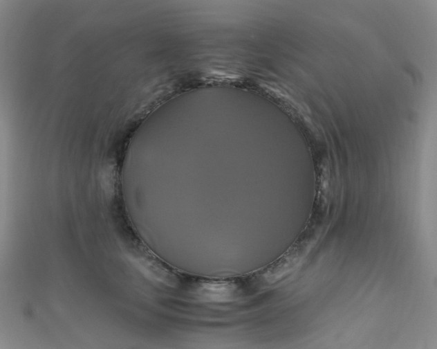 X0000110990659200907022117