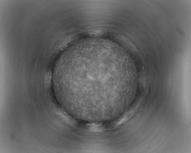 X0000110990660200907022117