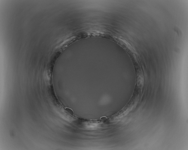 X0000110990661200907022117