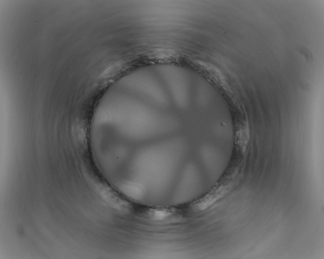 X0000110990662200907022117