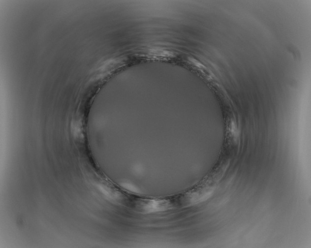 X0000110990663200907022117