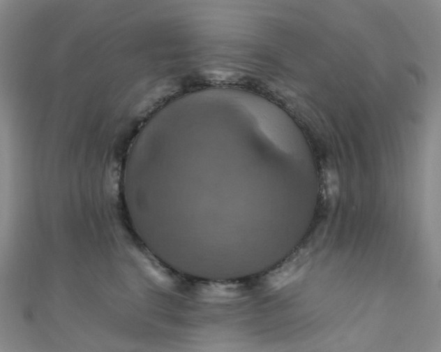 X0000110990664200907022117