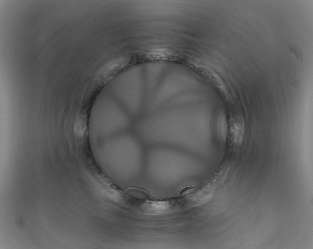 X0000110990665200907022117