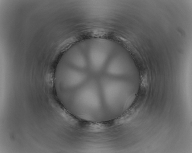X0000110990666200907022117