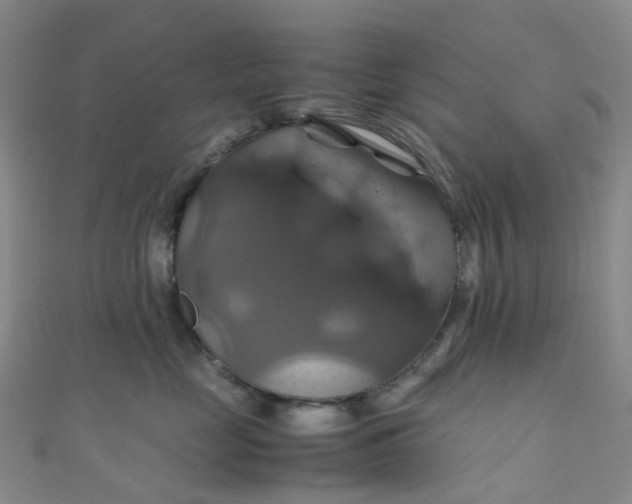 X0000110990669200907022117