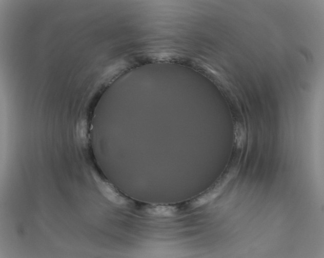 X0000110990670200907022117