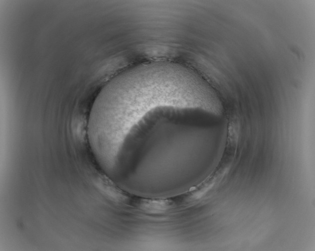 X0000110990671200907022118