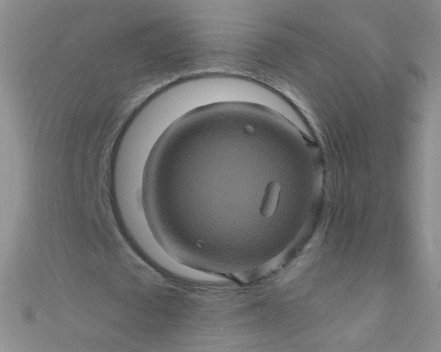 X0000110990673200907022117