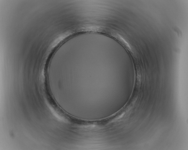 X0000110990674200907022117