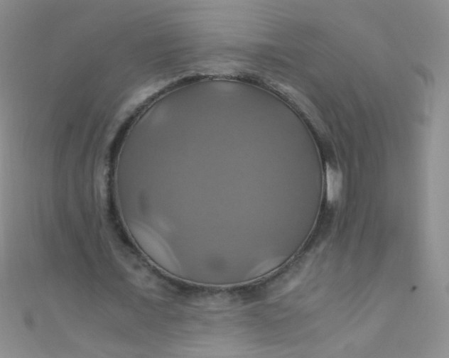 X0000110990675200907022117