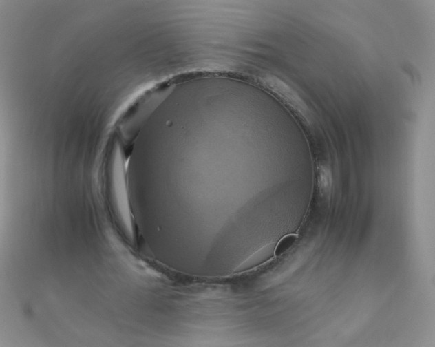 X0000110990676200907022117