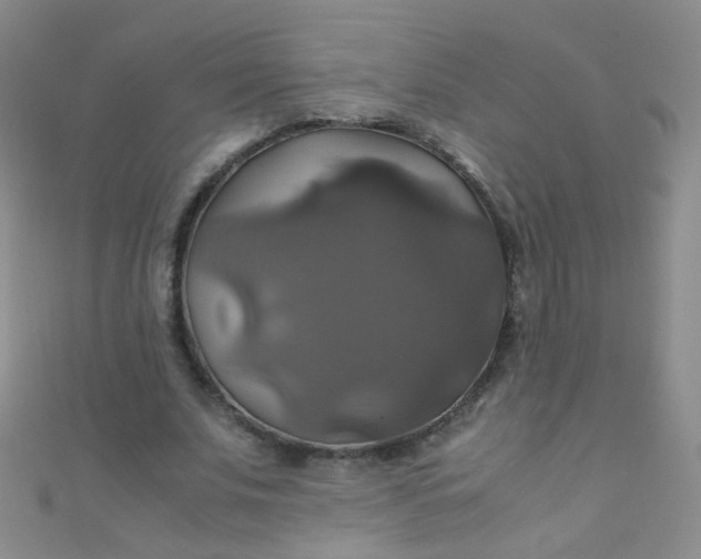 X0000110990679200907022117
