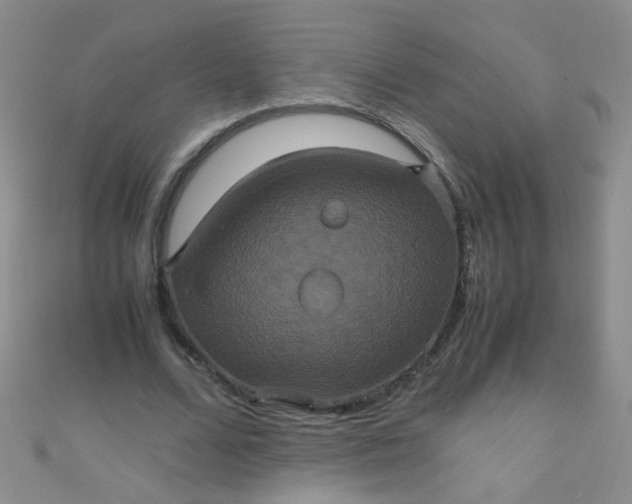 X0000110990680200907022117