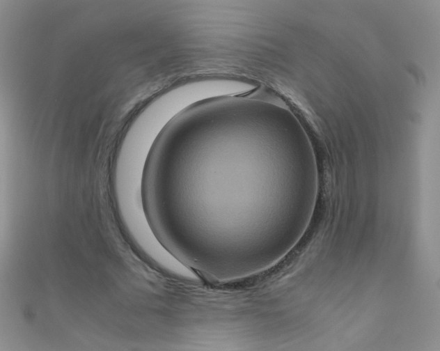 X0000110990681200907022117