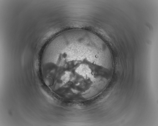 X0000110990683200907022117