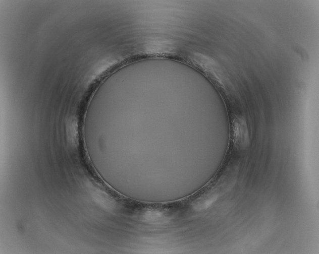 X0000110990684200907022117