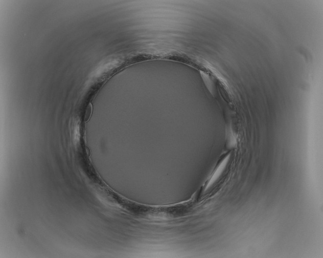 X0000110990685200907022117