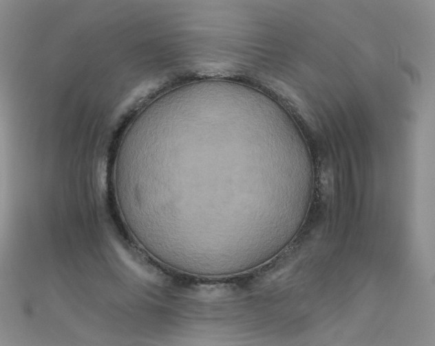 X0000110990686200907022117