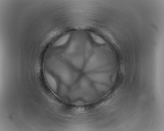 X0000110990687200907022117