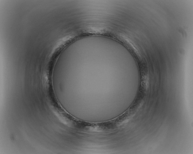 X0000110990688200907022117