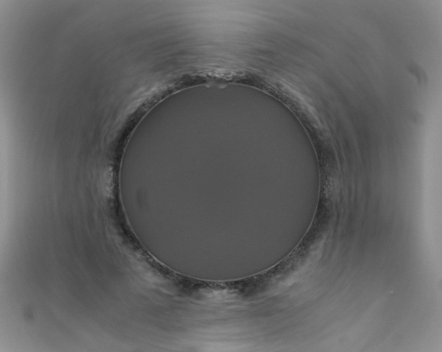 X0000110990689200907022117