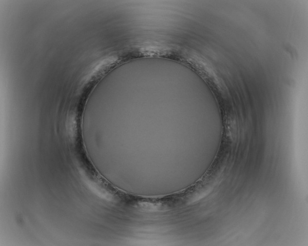 X0000110990690200907022117