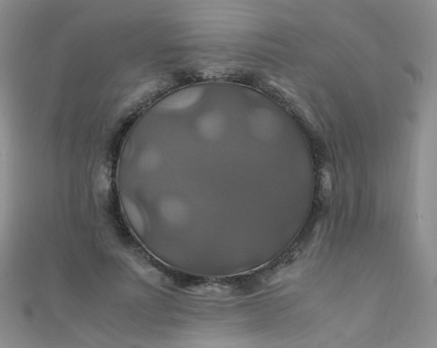 X0000110990691200907022117