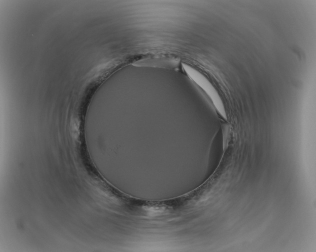 X0000110990693200907022117