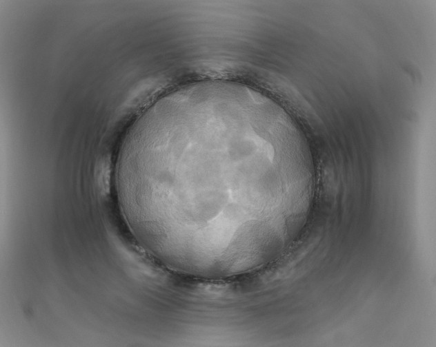 X0000110990694200907022117