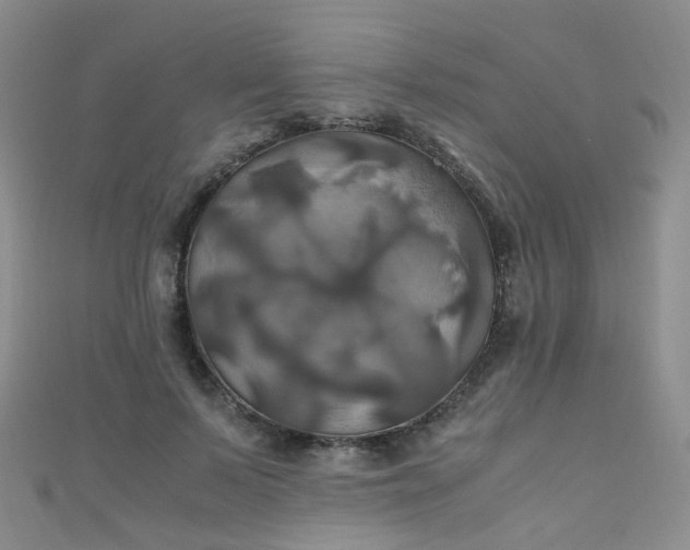 X0000110990695200907022117