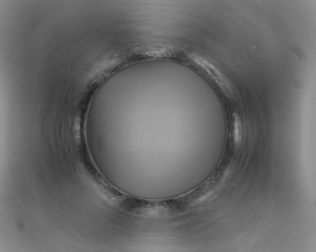 X0000110990696200907022117