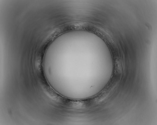 X0000110990698200907022117