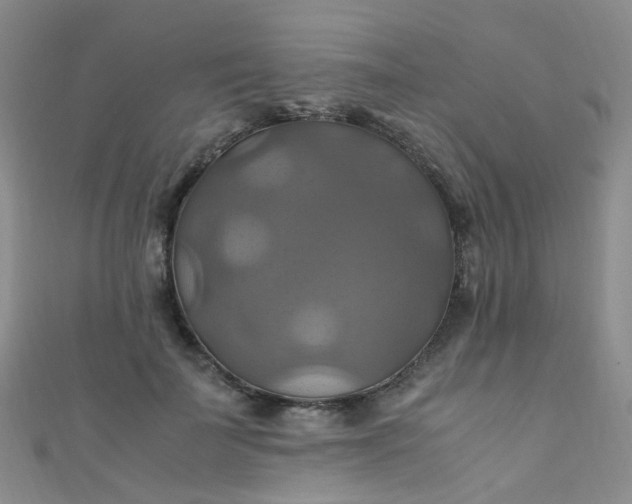 X0000110990699200907022117
