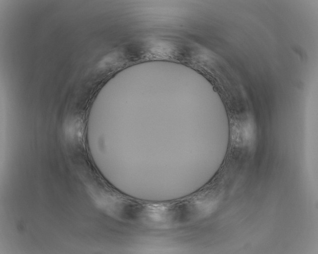 X0000110990701200907022117