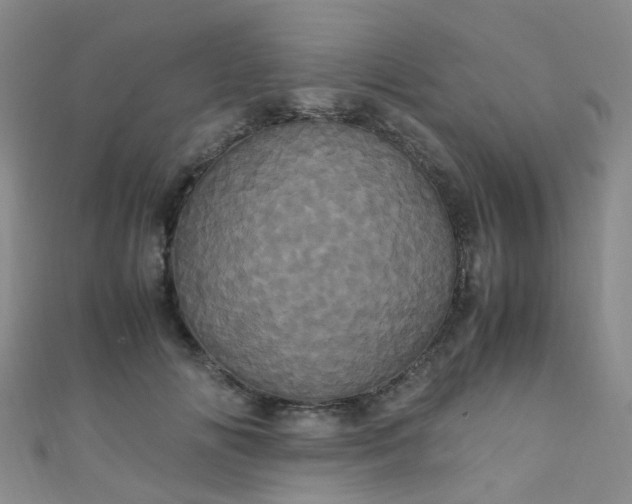 X0000110990702200907022117