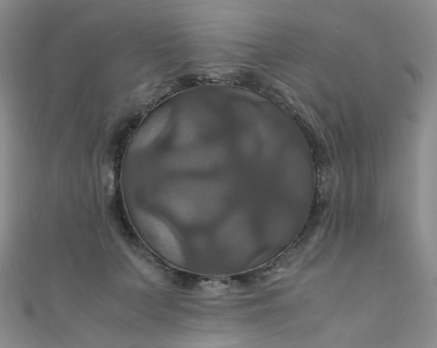 X0000110990703200907022117