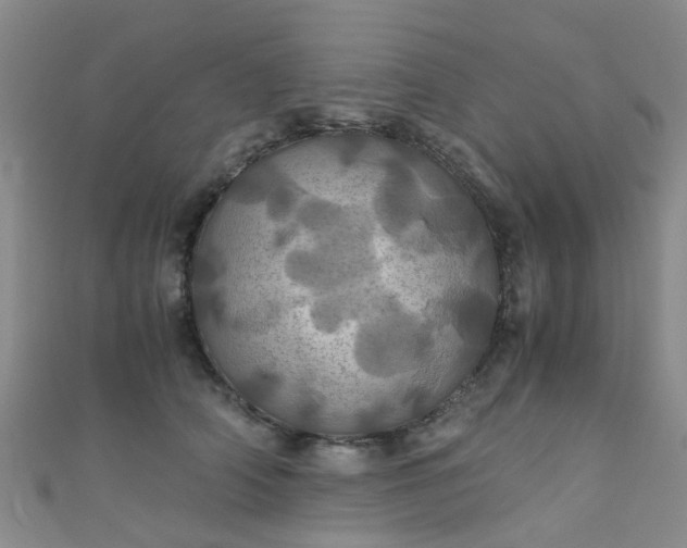 X0000110990706200907022116