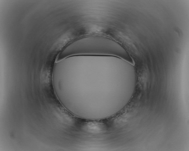 X0000110990708200907022116